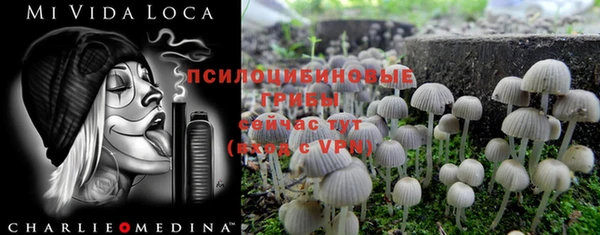 соль курить ск Балабаново
